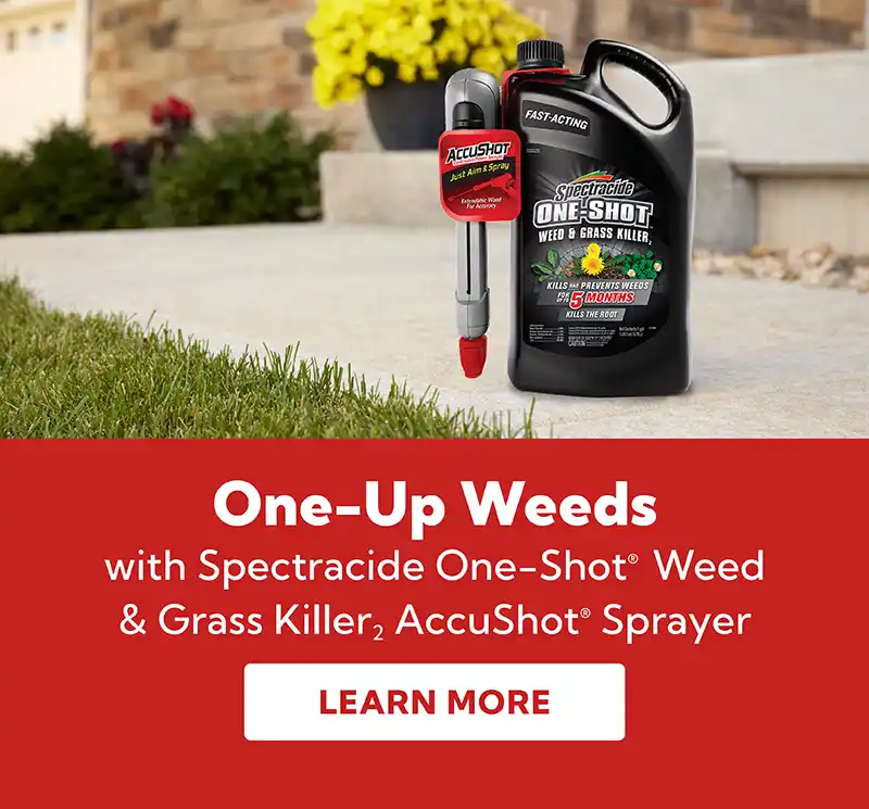 One-Up Weeds with Spectracide One-Shot Weed & Grass Killer Accushot Sprayer