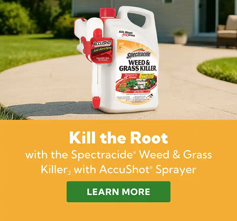 Kill the Root with the Spectracide Weed & Grass Killer with AccuShot Sprayer
