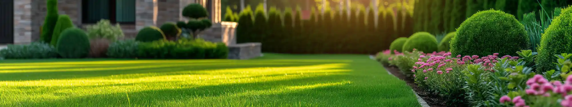 How to Choose the Best Weed Killer