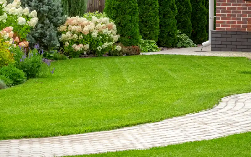 Keep Your Lawn in Line with Spectracide® Products
