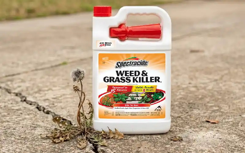 Weed & Grass Killer