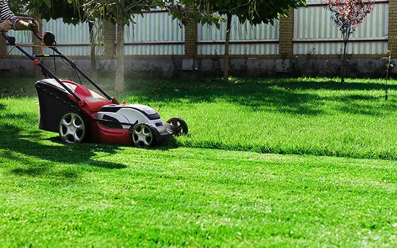 MOW GRASS AT PROPER HEIGHT