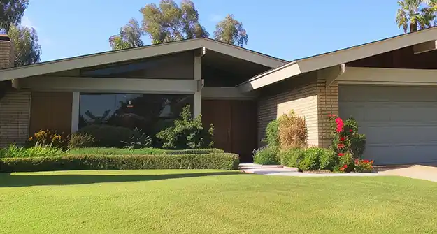 How to Manage Weeds in Your Yard Year Round Thumbnail