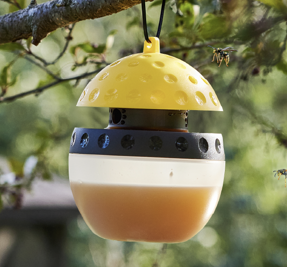 Wasp & Hornet 101 Mobile Banner Image