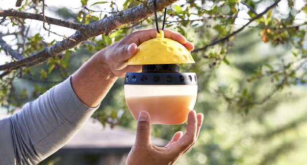 Wasp & Hornet 101 - Thumbnail