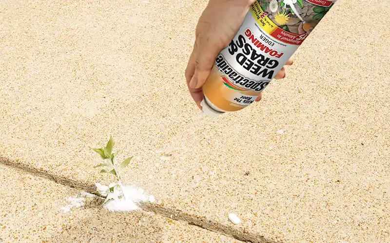 FOAMING SPRAY