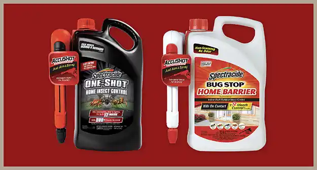 Year Round Pest Control Guide Thumbnail