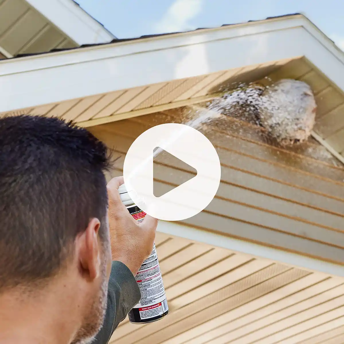 Spectracide® Foaming Wasp & Hornet Killer Video Thumbnail