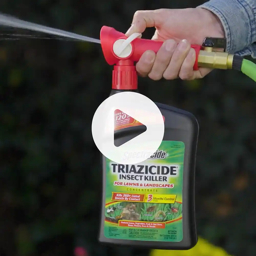 Triazicide Ready to Spray