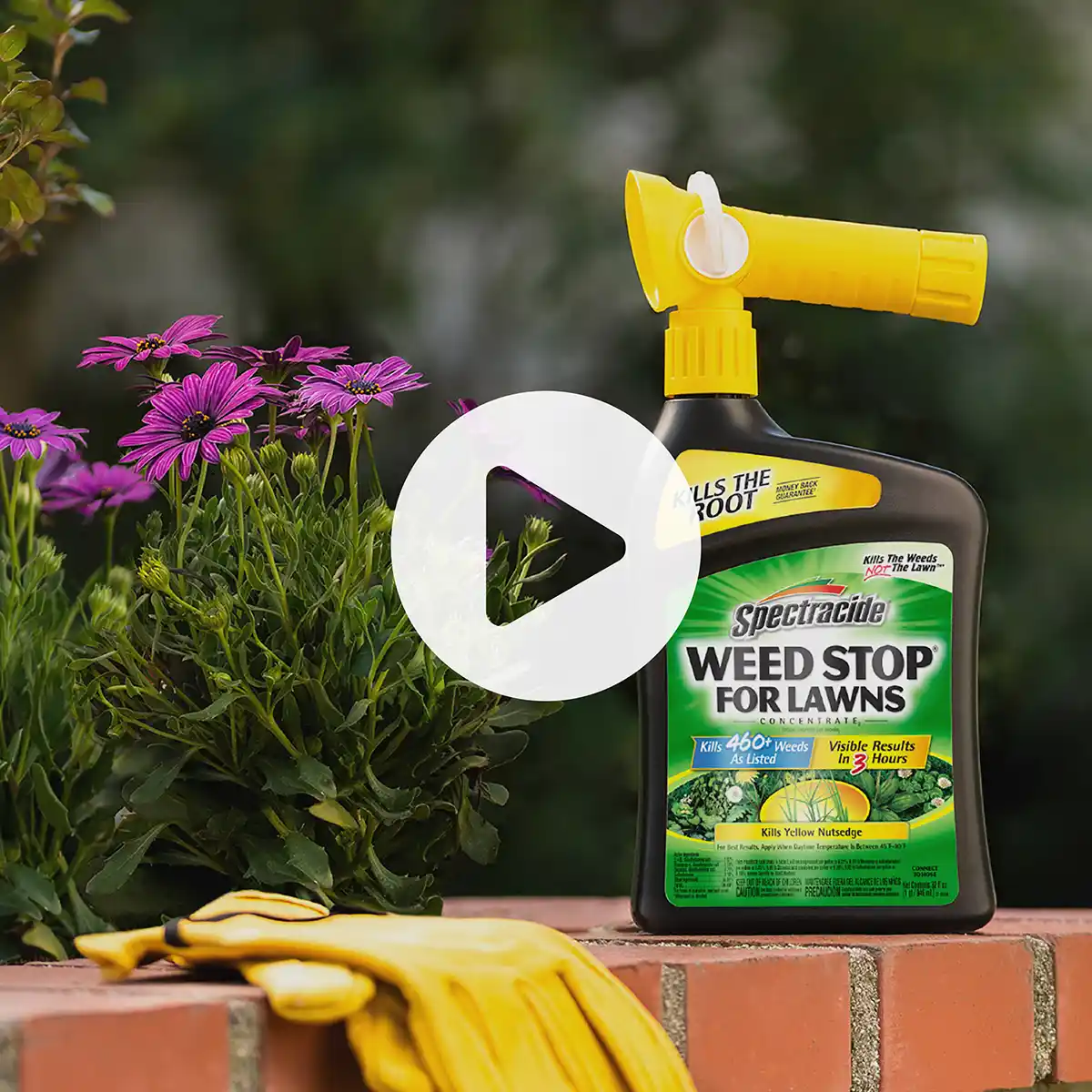 Spectracide Weed Stop Video Thumbnail