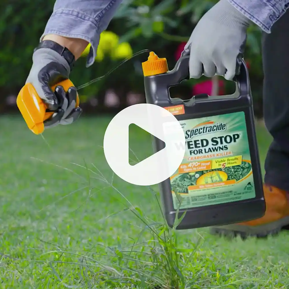 Weed Stop Crab Grass Killer