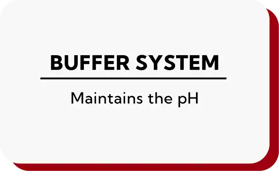 Buffer System