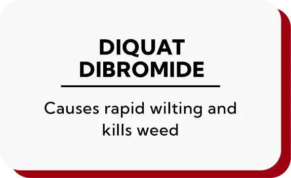 Diquat Dibromide