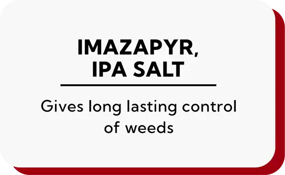 Imazapyr, IPA Salt