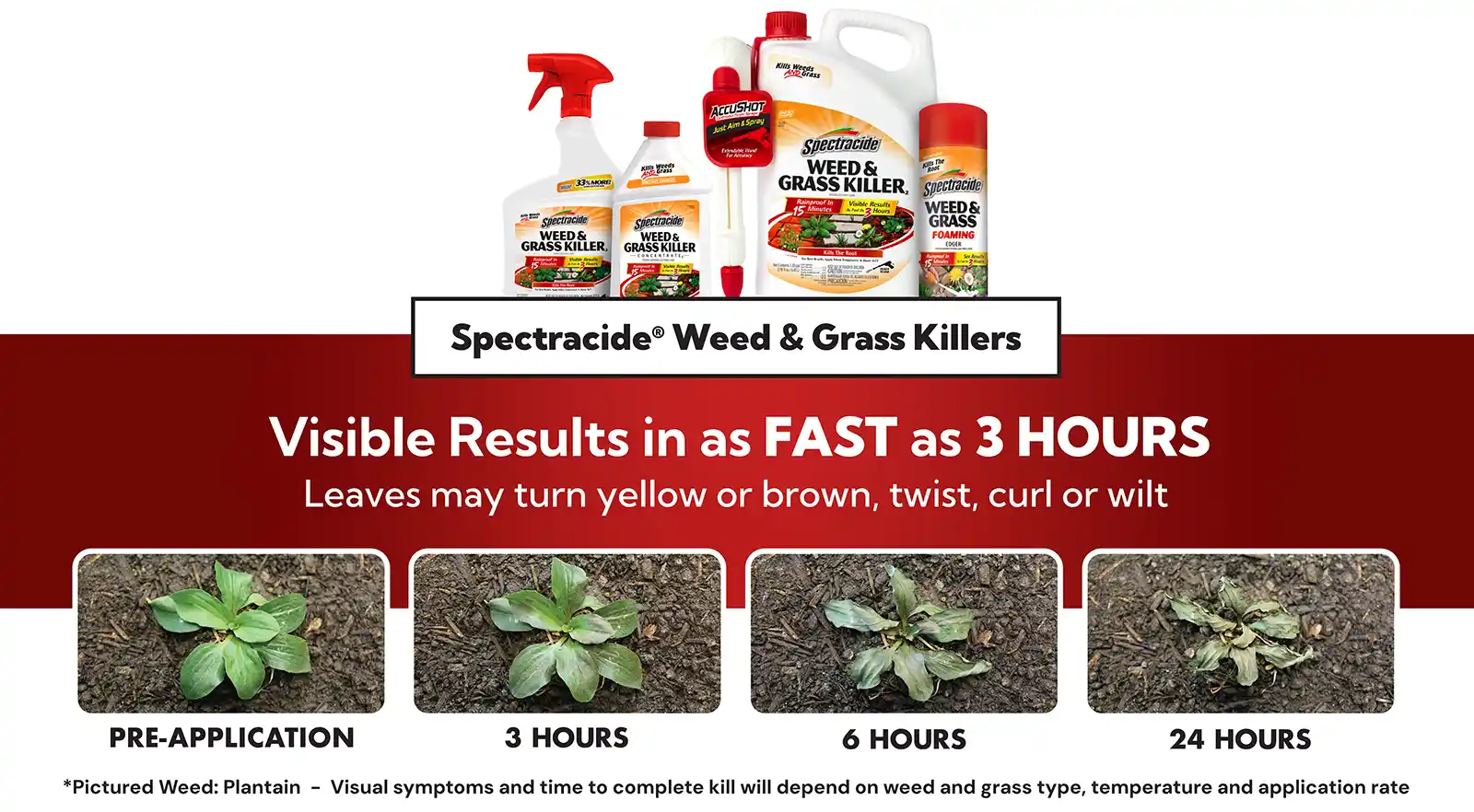 Ingredients Results Page