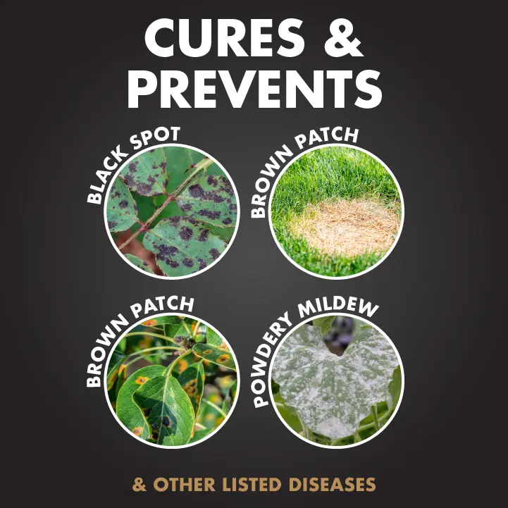 Cures and prevents black spot, brown patch, powdery mildew and other listed diseases