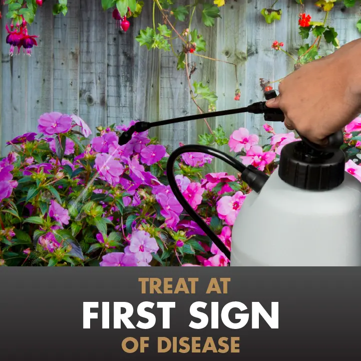 Treat at first sign of disease