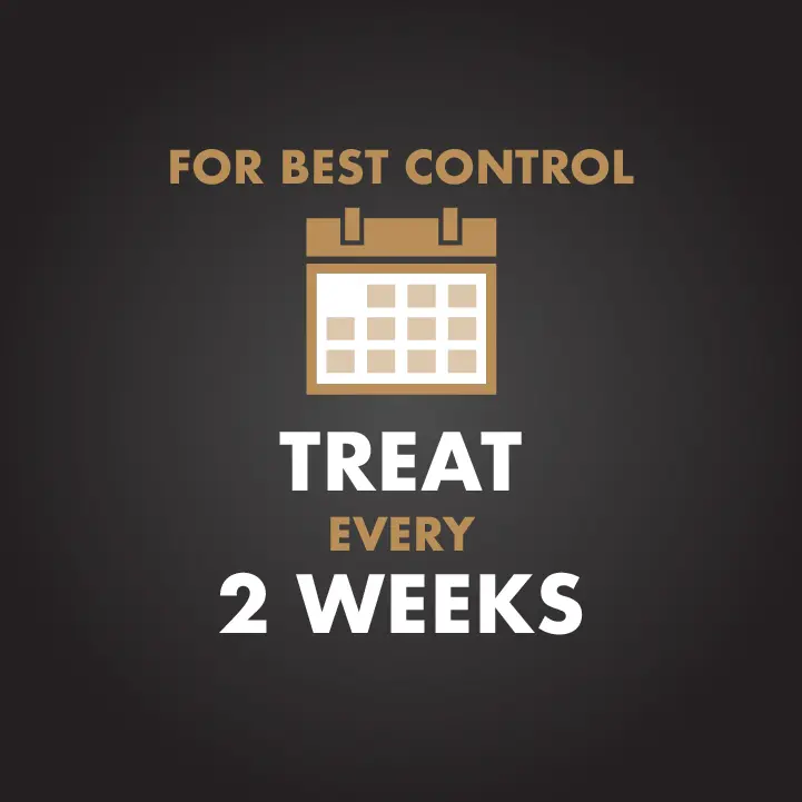For best results treat every two weeks
