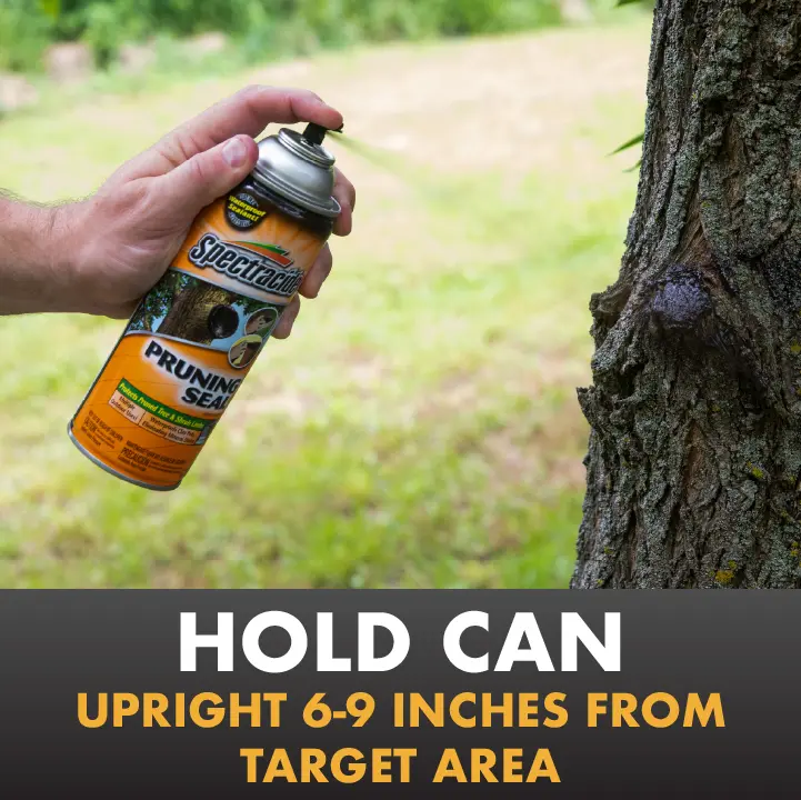 Hold can upright 6-9 inches from target area