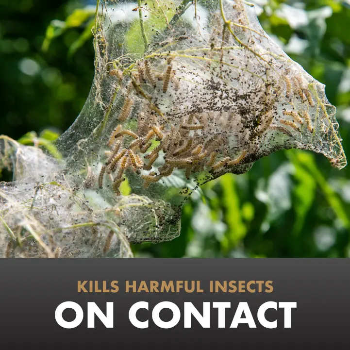 Kills Harmful Insects on Contact