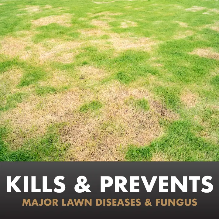 Kills and Prevents Major Lawn Diseases and Fungus