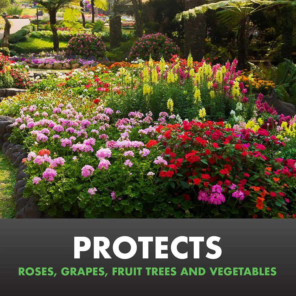 Protects Roses, Grapes, Fruit Trees, and Vegetables