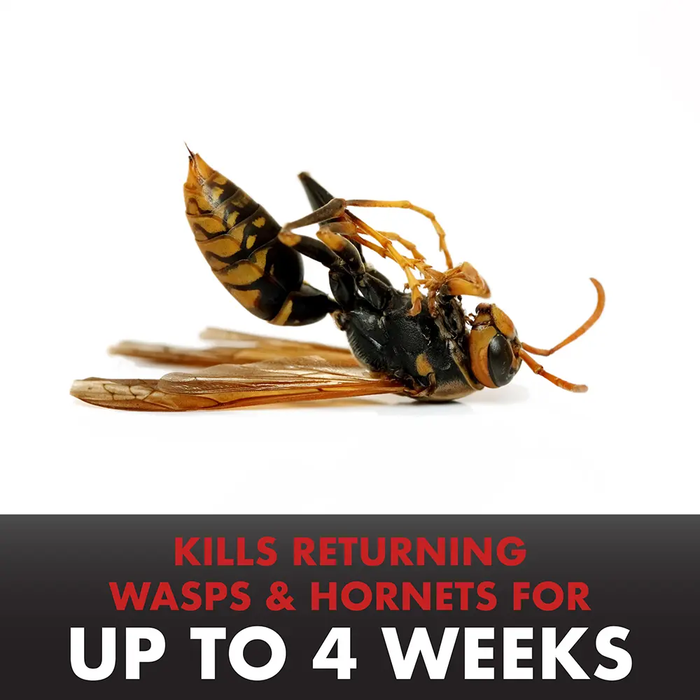 Kills Returning Wasps and Hornets for Up to 4 Weeks