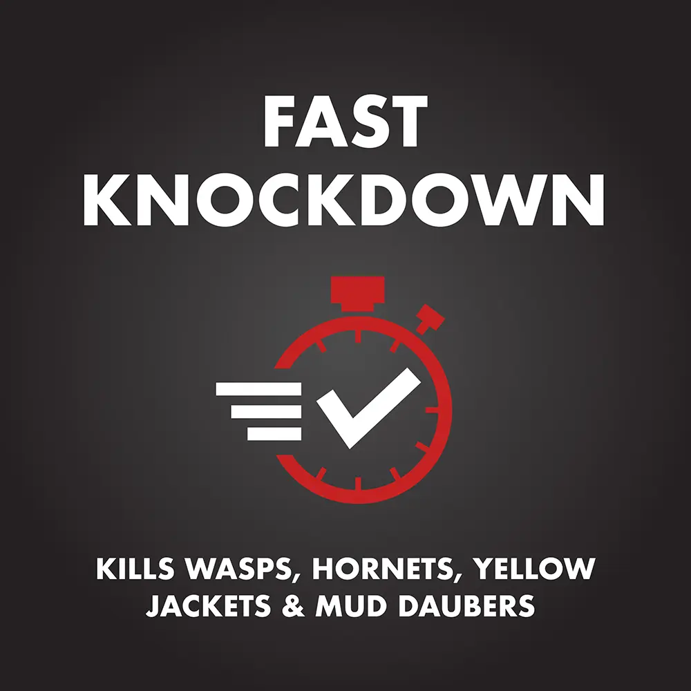 Fast Knockdown: Kills Wasps, Hornets, Yellow Jackets, and Mud Daubers