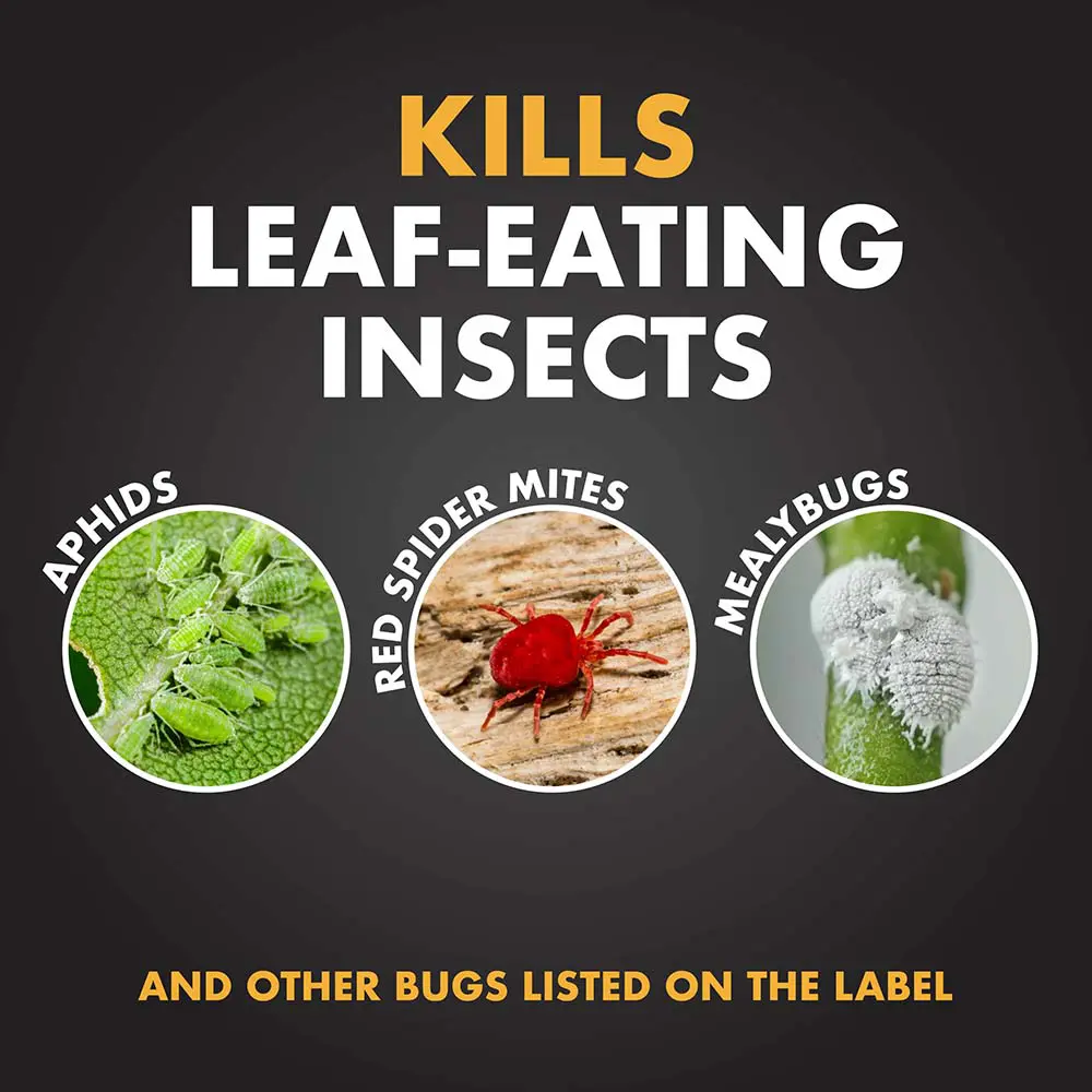 Kills Leaf-Eating Insects: aphids, red spider mites, mealybugs, and other bugs listed on the label
