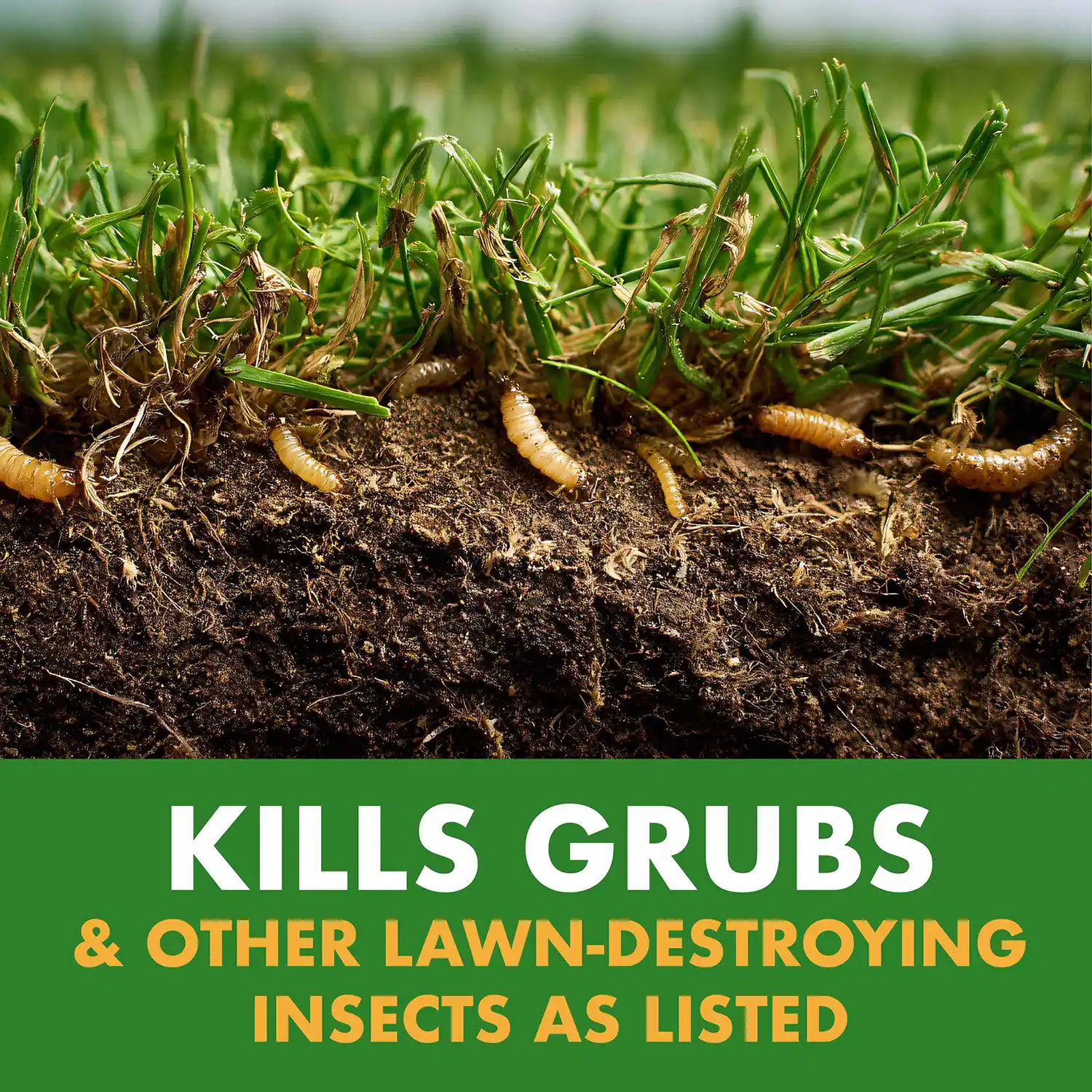 KILLS GRUBS & OTHER LAWN-DESTROYING INSECTS AS LISTED