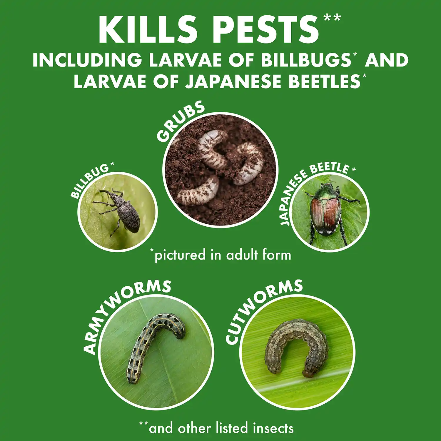 KILLS PESTS** INCLUDING LARVAE OF BILLBUGS* AND LARVAE OF JAPANESE BEETLES*