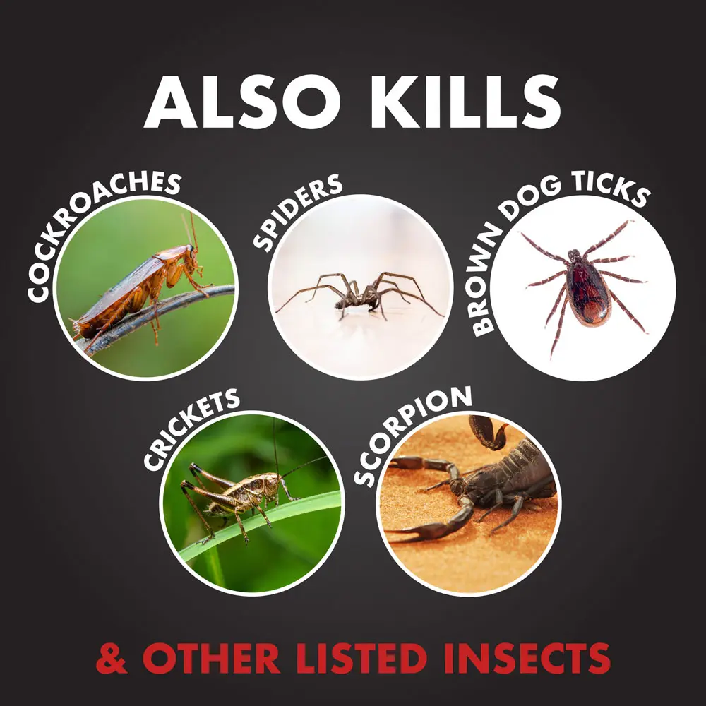 Also Kills Cockroaches, Spiders, Brown Dog Ticks, Crickets, Scorpion, And Other Listed Insects