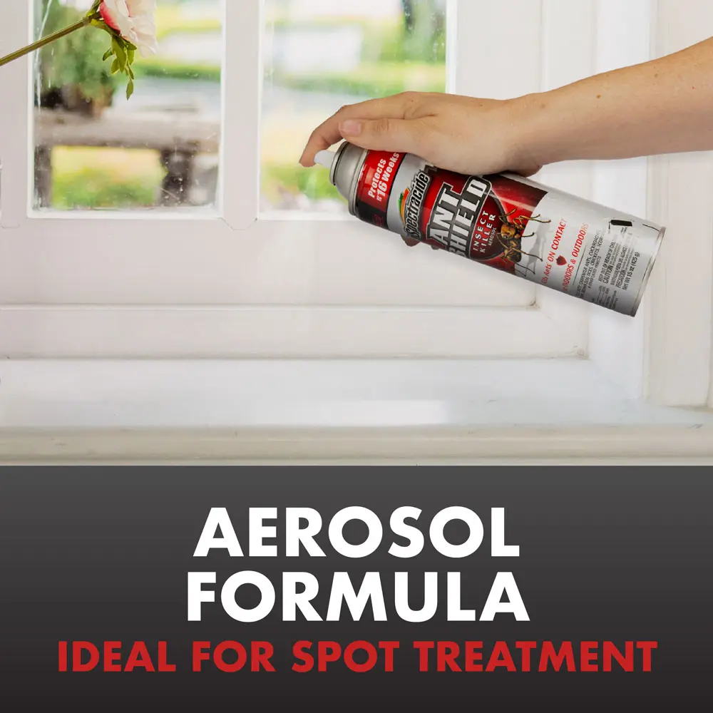 Aerosol Formula - Ideal for Spot Treatment
