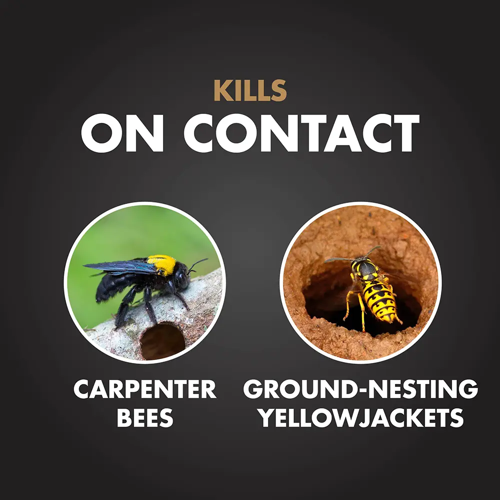 Kills on Contact: Carpenter Bees and Ground-Nesting Yellowjackets
