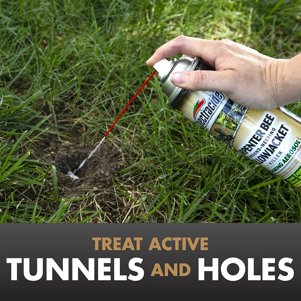 Treat Active Tunnels and Holes