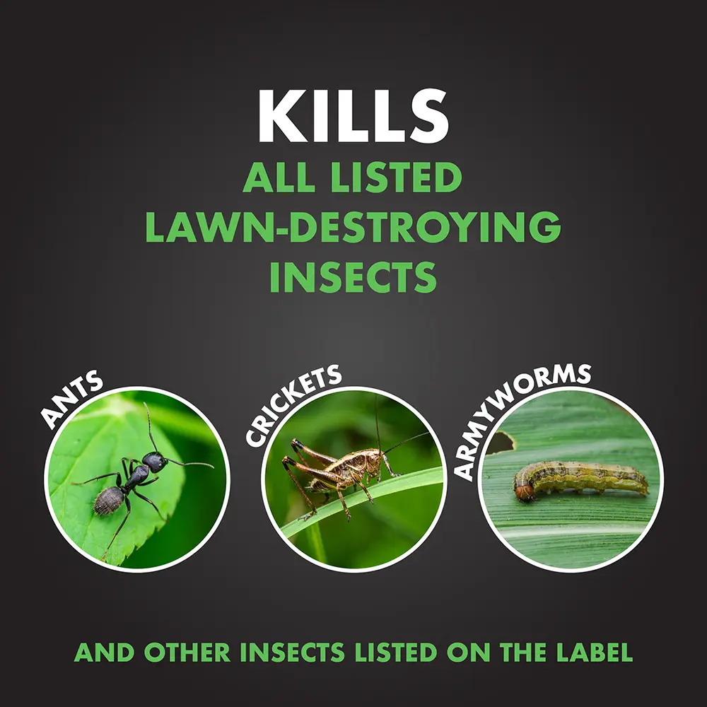 Kills All Listed Lawn-Destroying Insects: ants, crickets, armyworms, and other insects listed on the label