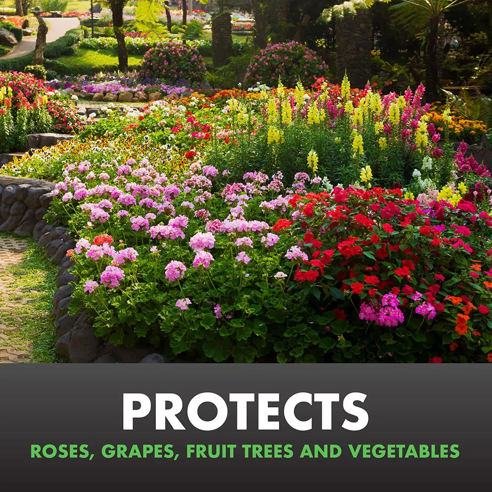 Protects Roses, Grapes, Fruit Trees and Vegetables
