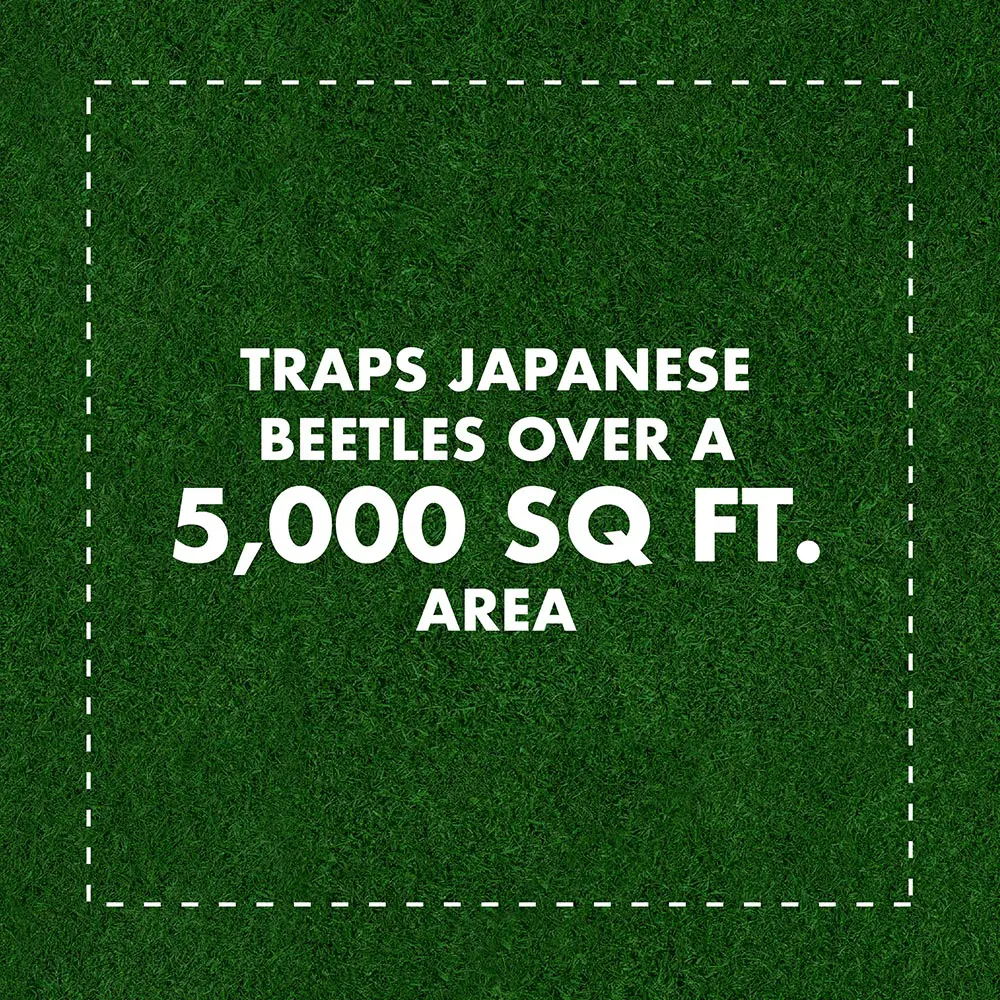 Traps Japanese Beetles Over a 5,000 sq ft Area