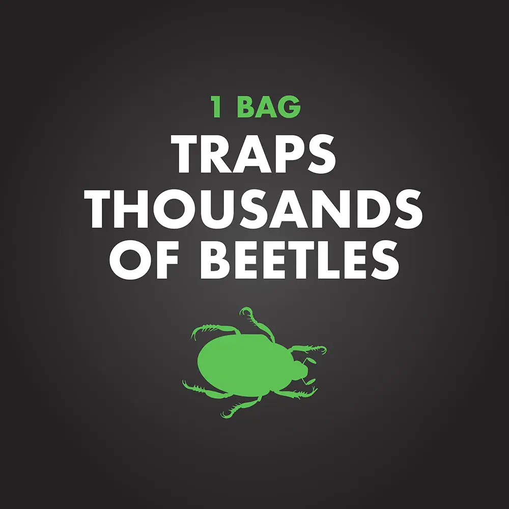 1 Bag Traps Thousands of Beetles