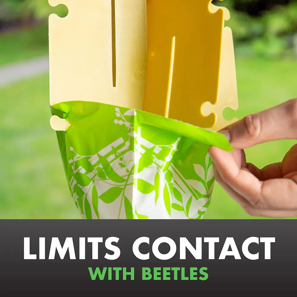 Limits Contact with Beetles