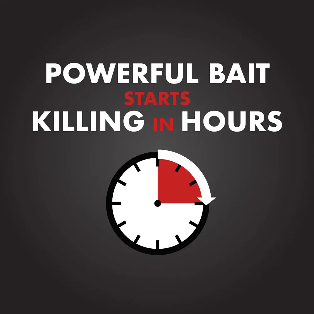 Powerful Bait Start Killing in Hours