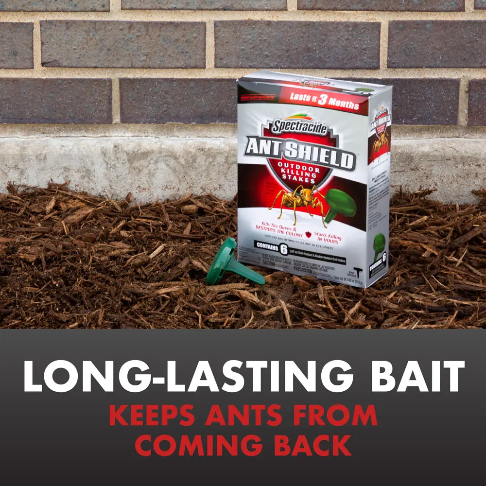 Long-Lasting Bait Keeps Ants From Coming Back