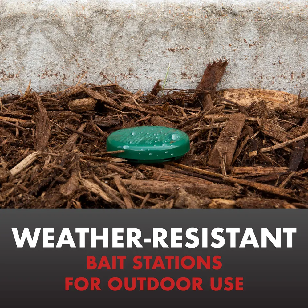 Weather-Resistant Bait Station for Outdoor Use