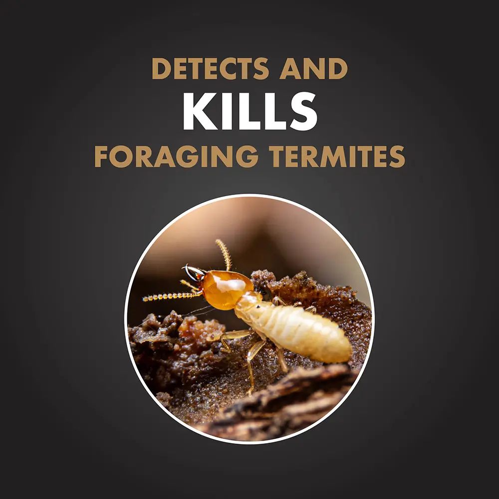 Detects and Kills Foraging Termites