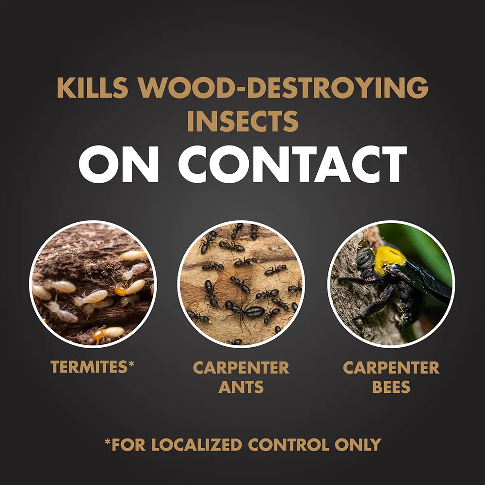 Kills Wood-Destroying Insects on Contact: Termites*, Carpenter Ants, Carpenter Bees (For localized control only)