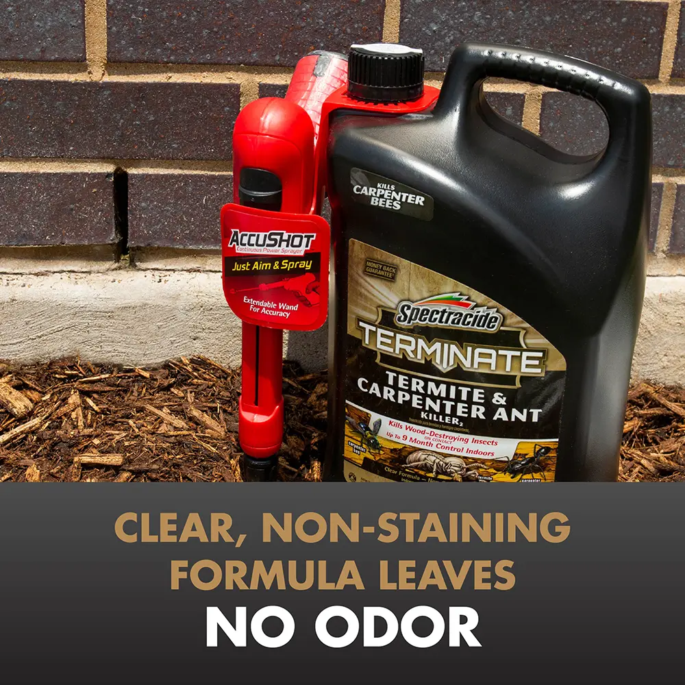 Clear, Non-Staining Formula Leaves No Odor
