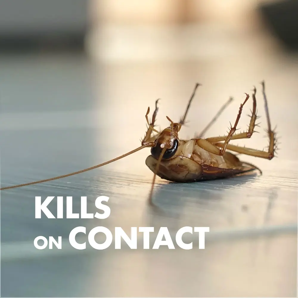 Bug Stop® Home Barrier2 with AccuShot® Sprayer, 1.33 gal - Kills on Contact