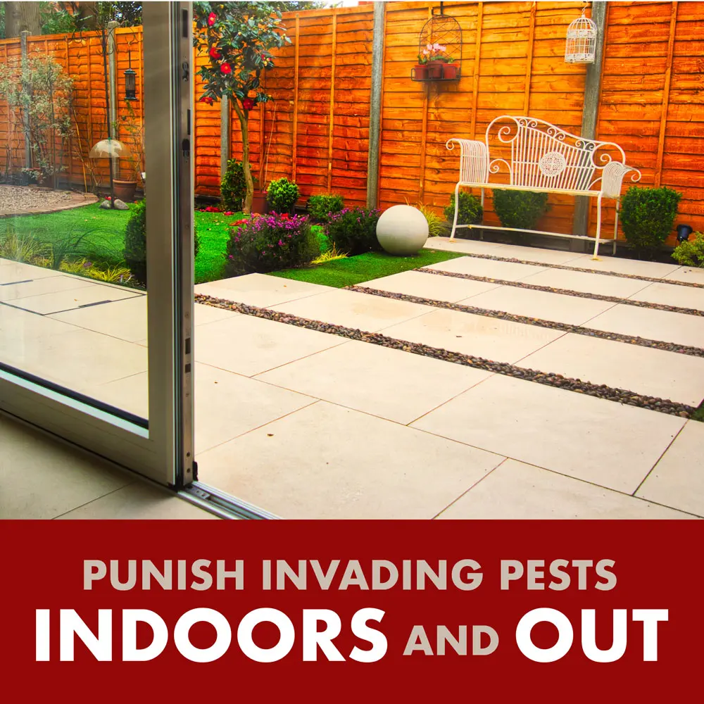 Punish invading pests indoors and out