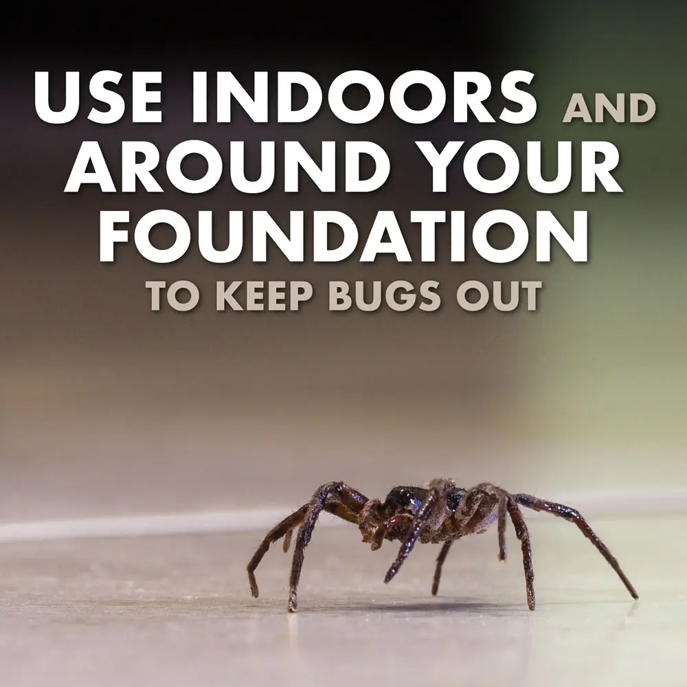 Use Indoors and around your foundation to keep bugs out