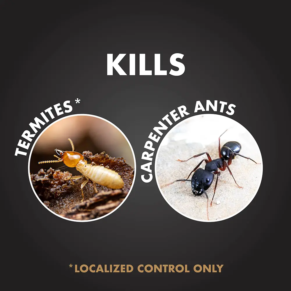 Kills Termites (localized control only) and Carpenter Ants